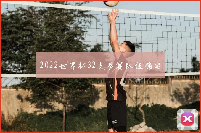 2022世界杯32支参赛队伍确定