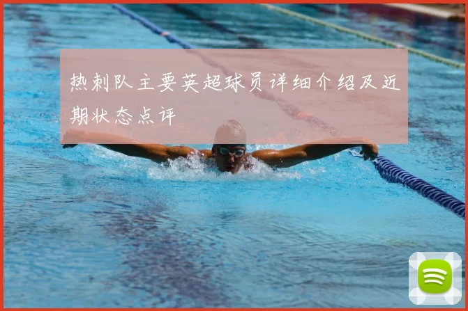 热刺队主要英超球员详细介绍及近期状态点评