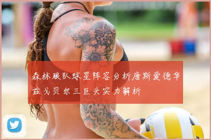 森林狼队球星阵容分析唐斯爱德华兹戈贝尔三巨头实力解析