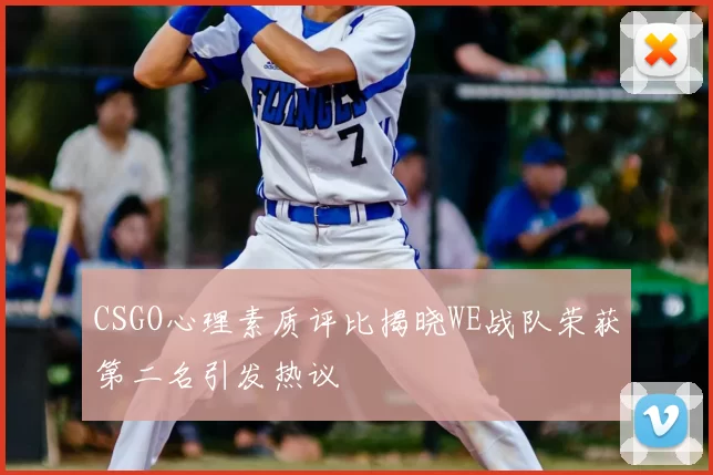 CSGO心理素质评比揭晓WE战队荣获第二名引发热议