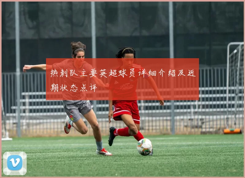 热刺队主要英超球员详细介绍及近期状态点评
