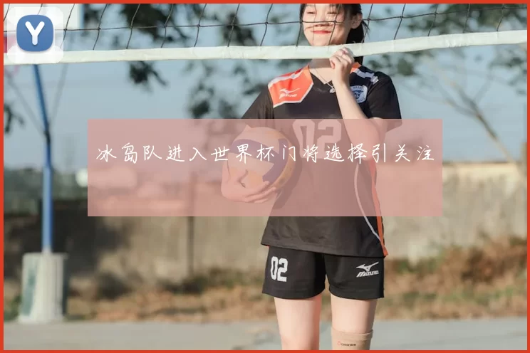 冰岛队进入世界杯门将选择引关注
