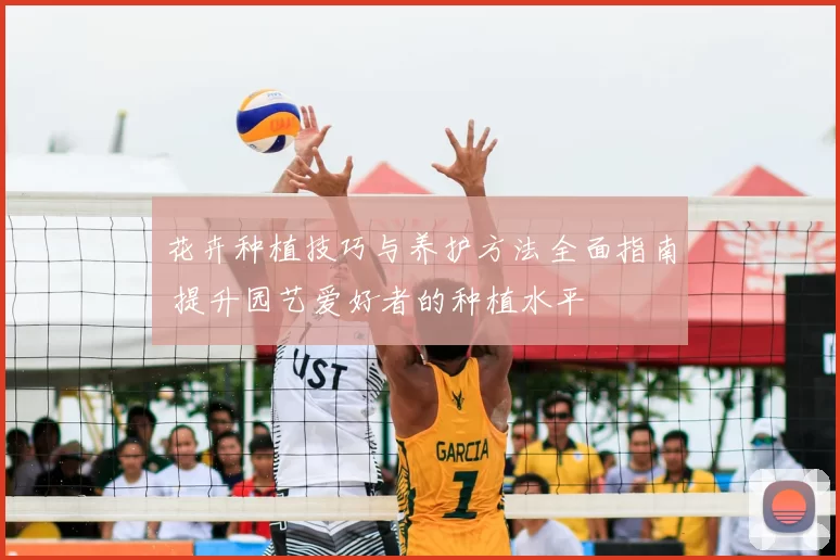 花卉种植技巧与养护方法全面指南 提升园艺爱好者的种植水平