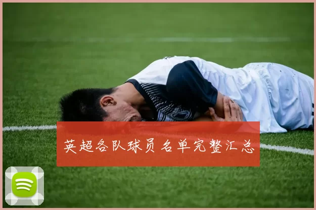 英超各队球员名单完整汇总