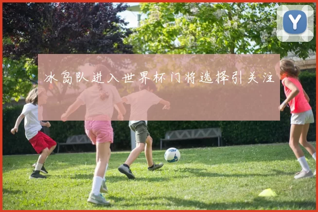 冰岛队进入世界杯门将选择引关注