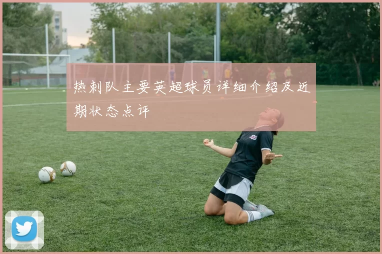 热刺队主要英超球员详细介绍及近期状态点评