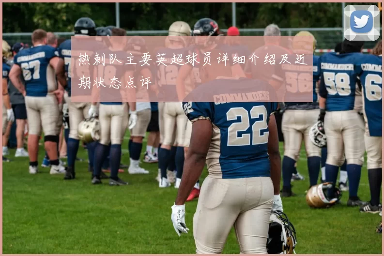 热刺队主要英超球员详细介绍及近期状态点评
