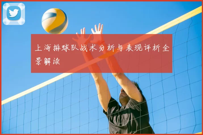 上海排球队战术分析与表现评析全景解读