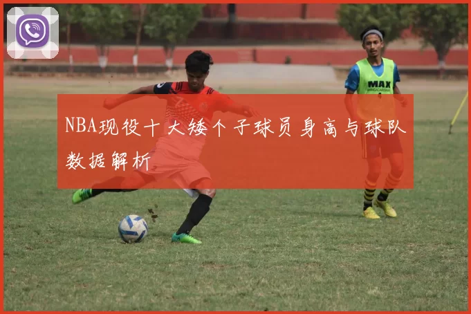 NBA现役十大矮个子球员身高与球队数据解析