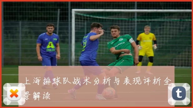 上海排球队战术分析与表现评析全景解读