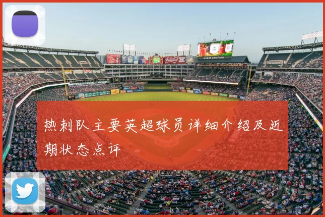 热刺队主要英超球员详细介绍及近期状态点评