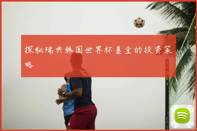 探秘瑞典韩国世界杯基金的投资策略