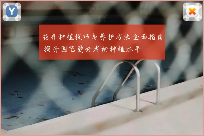 花卉种植技巧与养护方法全面指南 提升园艺爱好者的种植水平