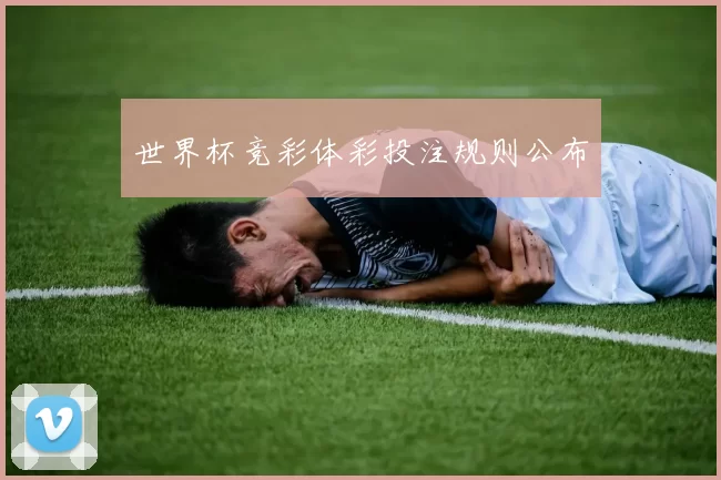 世界杯竞彩体彩投注规则公布