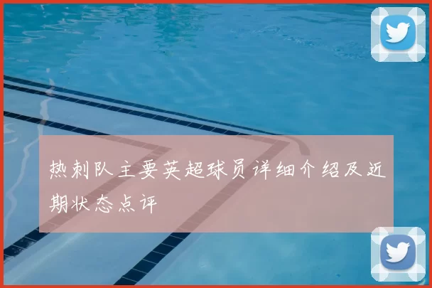 热刺队主要英超球员详细介绍及近期状态点评