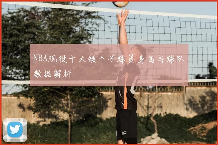 NBA现役十大矮个子球员身高与球队数据解析