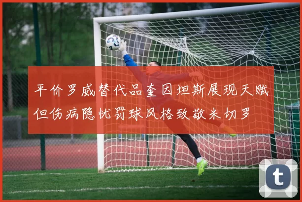 平价罗威替代品奎因坦斯展现天赋但伤病隐忧罚球风格致敬米切罗
